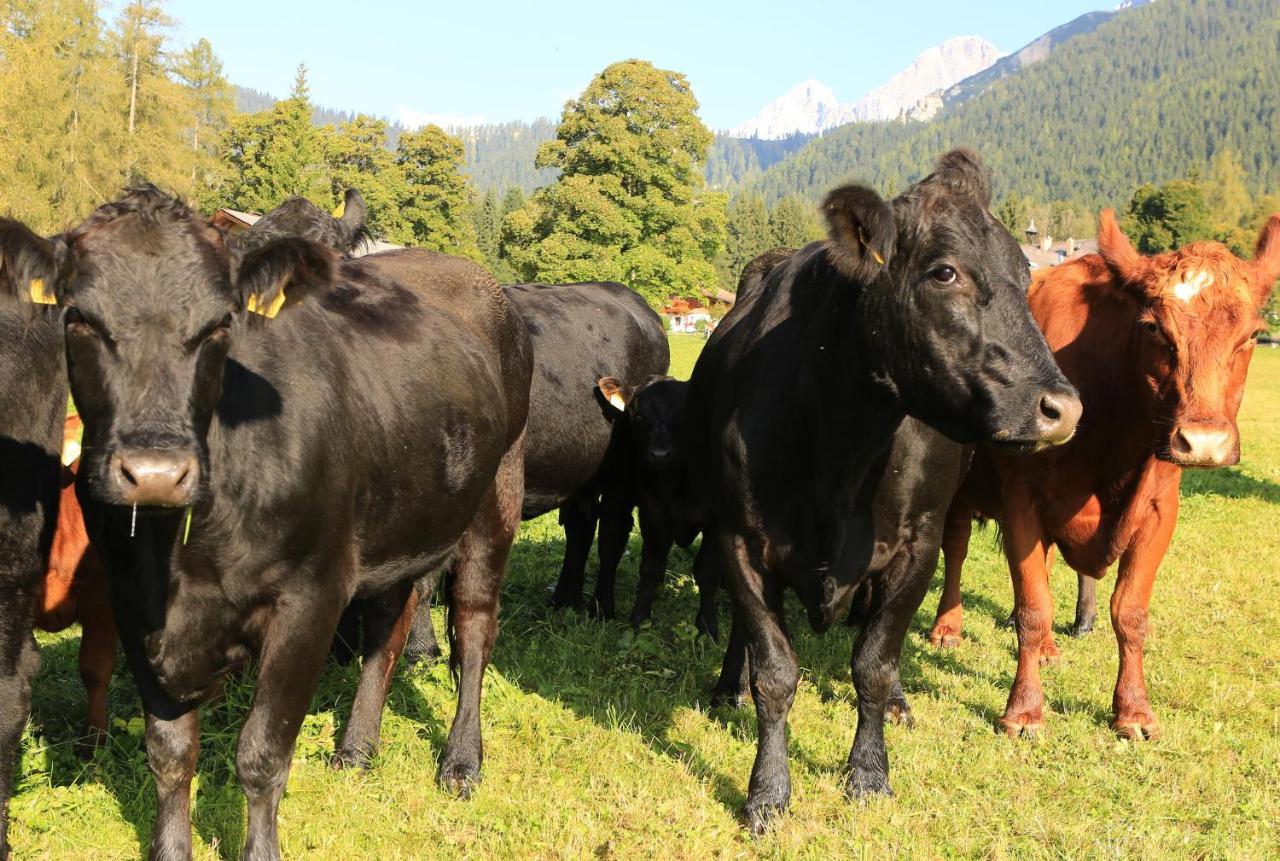 Hotel Laerchenhof Ramsau am Dachstein Eksteriør bilde