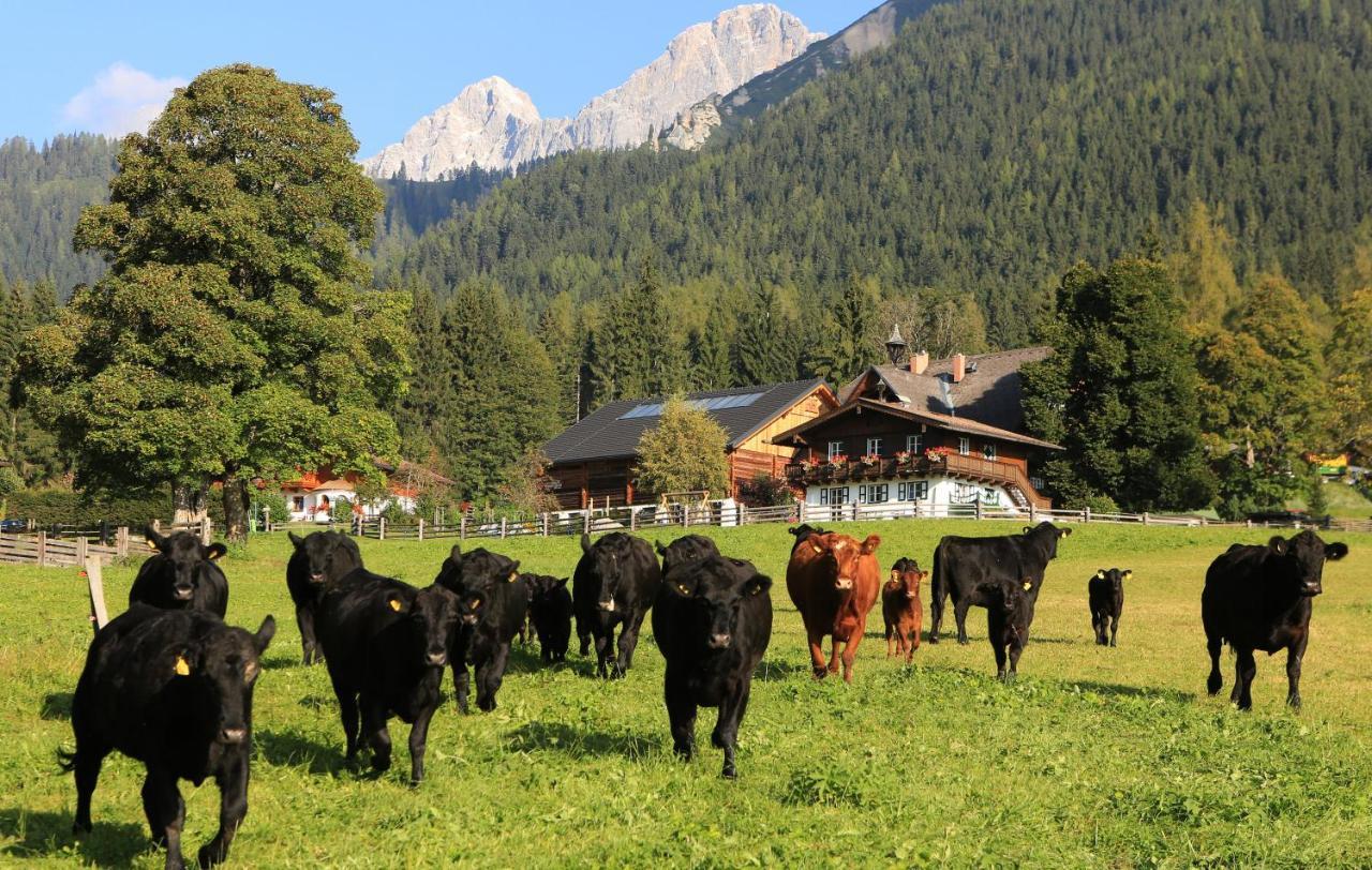 Hotel Laerchenhof Ramsau am Dachstein Eksteriør bilde